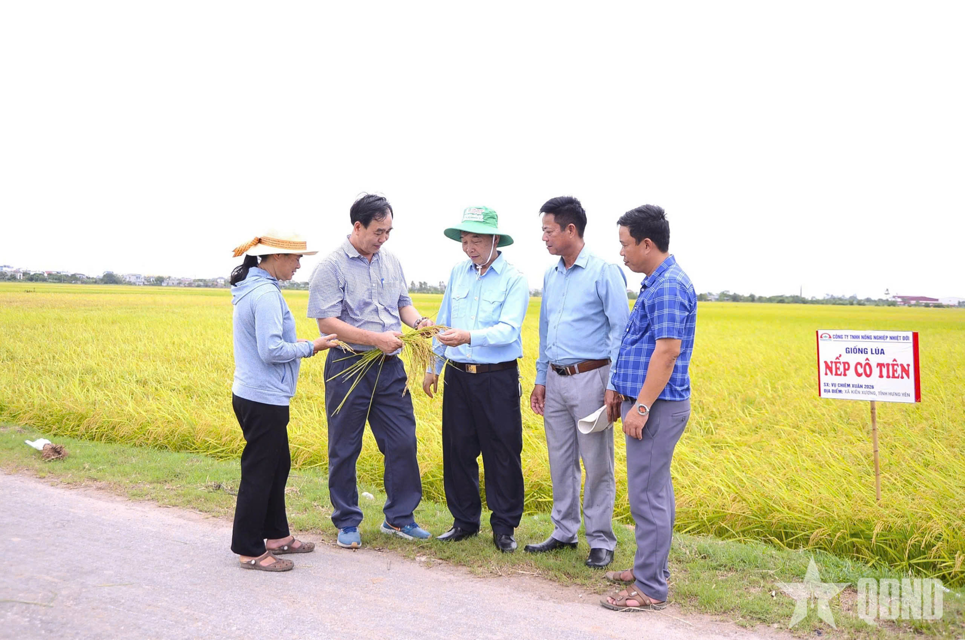 Mất tay phải, “viết lại cuộc đời” bằng tay trái - Bài 2: Gieo những mùa vàng